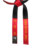 Deluxt Satin Red & Black Panel Belt